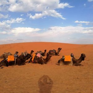 Desert